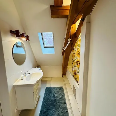 Apartament Nikola Tesla Haus, Zentrum *
